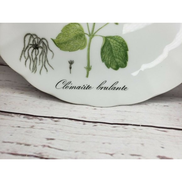 Vintage Hocquart Del Et Sculp Pl 95 Clematite Brulante Tea Cup And Plate Set - Picture 6 of 12